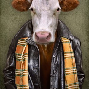 Cattle with leather jacket By ΓΕΩΡΓΙΟΠΟΥΛΟΣ έπιπλα κύρους 2